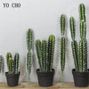 Artificial Cactus Succulent Plant – Lifelike Green Decor