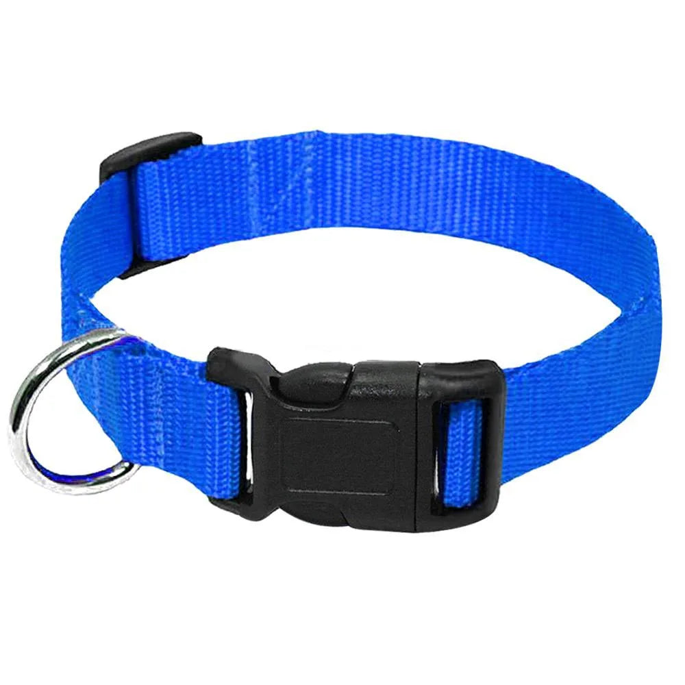Blue nylon dog collar with a black quick-release buckle and silver ring.