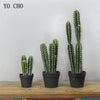 Artificial Cactus Succulent Plant – Lifelike Green Decor