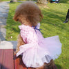 Sparkling Sequin Tutu Dress for Small Dogs with Bowknot