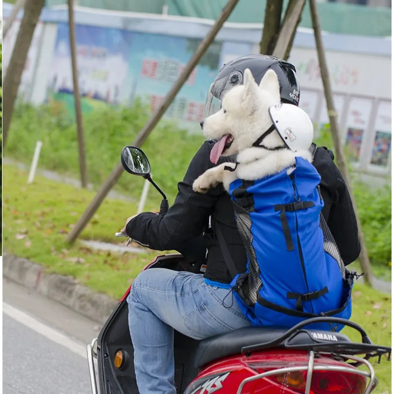 Eine Person fährt ein rotes Motorrad mit einem weißen Hundeträger-Rucksack auf dem Beifahrersitz.