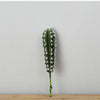Artificial Cactus Succulent Plant – Lifelike Green Decor