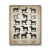 Vintage Farm Animals Poster Print - Chicken, Pig, Sheep and Horse