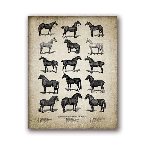 Vintage Farm Animals Poster Print - Chicken, Pig, Sheep and Horse