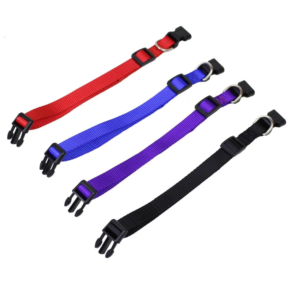 Three adjustable nylon dog collars in red, blue, and purple with quick-release buckles