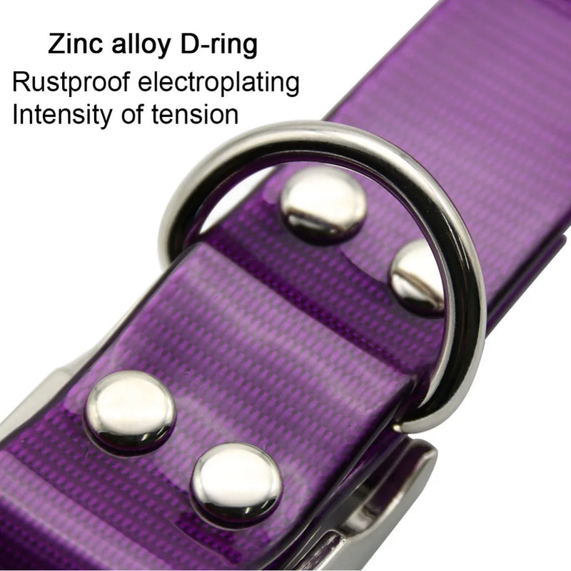 Wasserdichtes Nylon-Hundehalsband