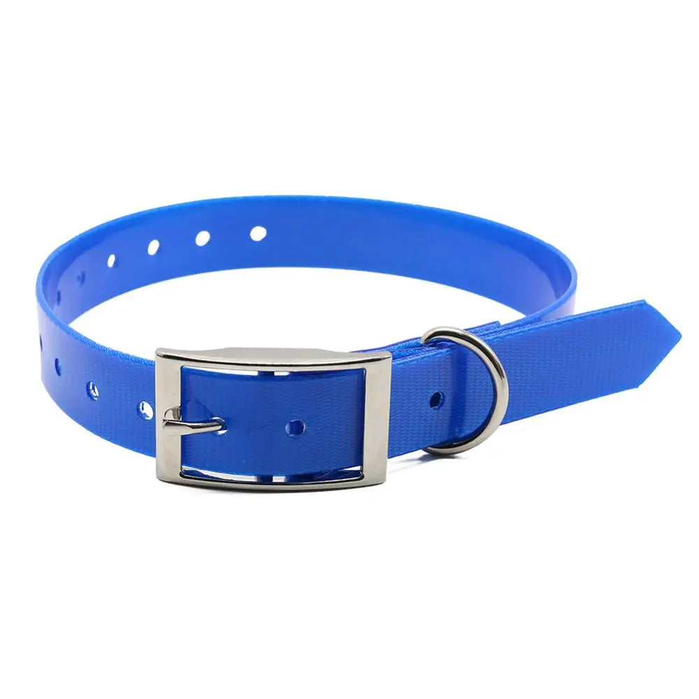 Collier pour chien en nylon bleu imperméable avec boucle argentée.