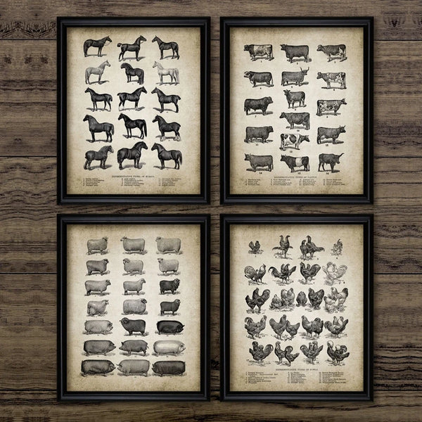 Vintage Farm Animals Poster Print - Chicken, Pig, Sheep and Horse
