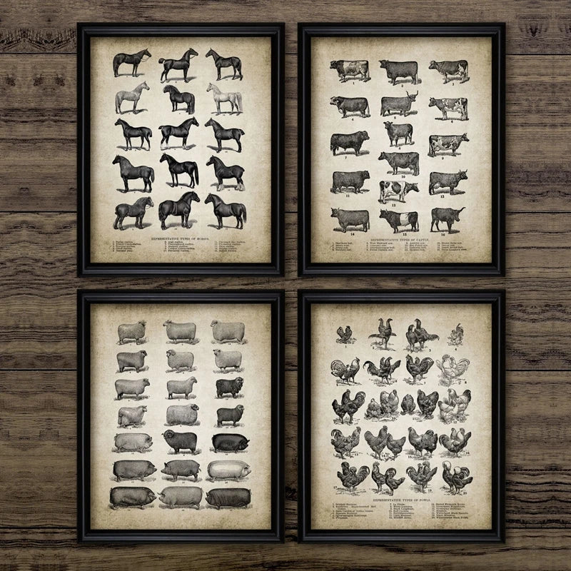 Vintage Farm Animals Poster Print - Chicken, Pig, Sheep and Horse