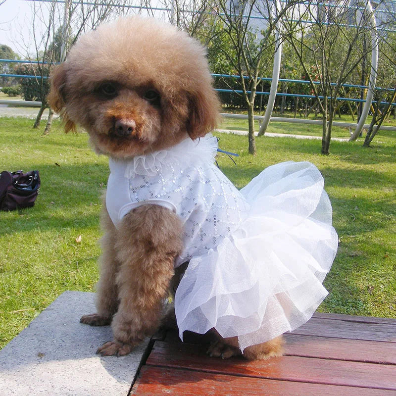 Sparkling Sequin Tutu Dress for Small Dogs with Bowknot