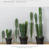 Artificial Cactus Succulent Plant – Lifelike Green Decor