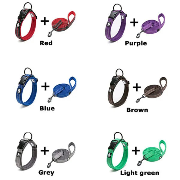 A collection of reflective nylon dog collar and leash sets in red, purple, blue, brown, grey, and light green.