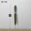 Artificial Cactus Succulent Plant – Lifelike Green Decor