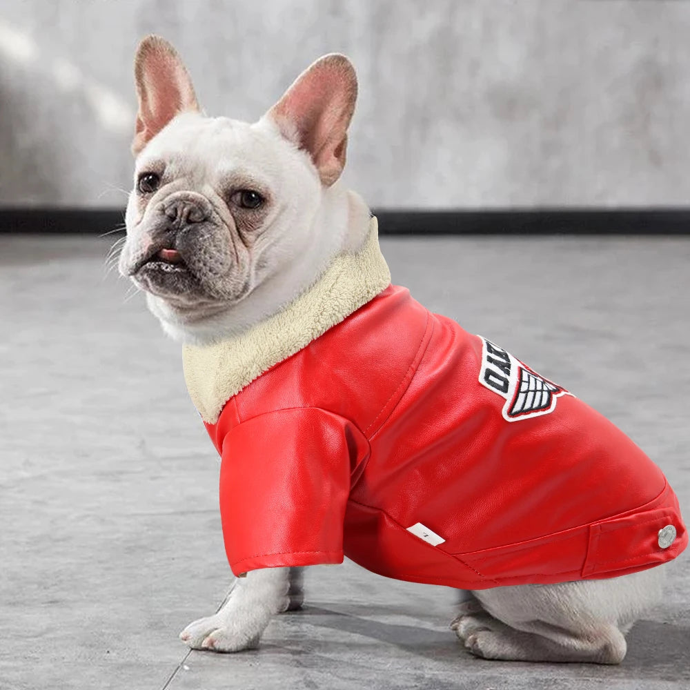 Classic PU Leather Dog Jacket for Small and Medium Breeds