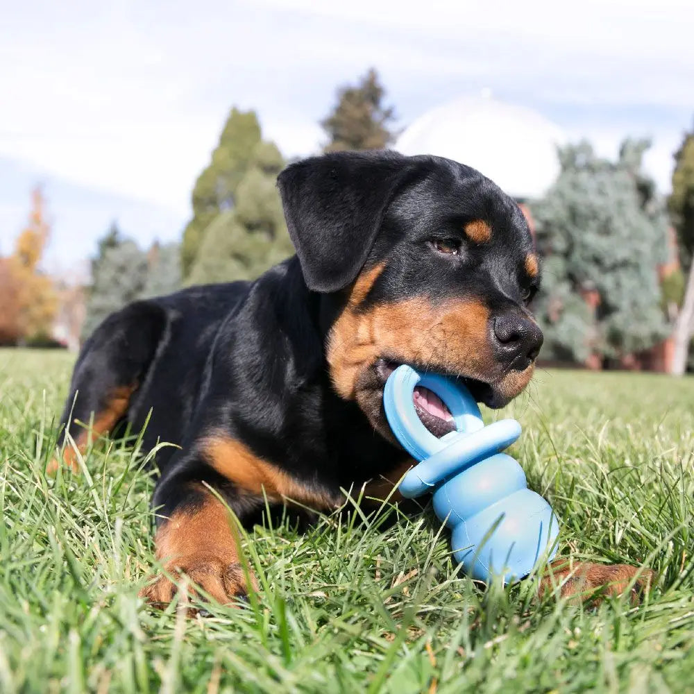 A black and tan puppy is lying on green grass with a blue KONG teething toy.