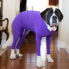 4-Leg Dog Recovery & Anxiety Calming Onesie