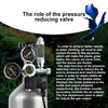 Aquarium CO2 Regulator Kit with Solenoid and Dual Gauges