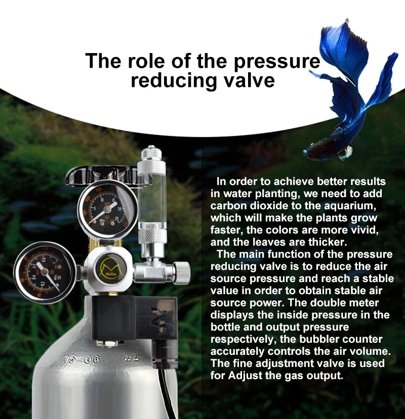 Silberner Aquarium-CO2-Regler-Kit mit doppelten Manometern und einem blauen Blatt