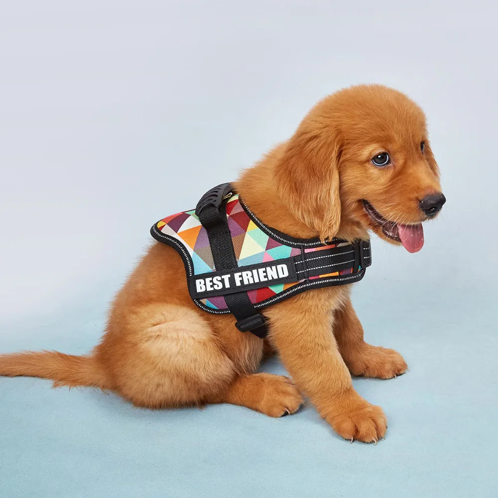 Adjustable No-Pull Dog Harness with Reflective Straps
