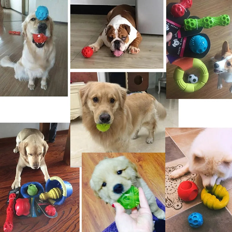 Interactive Squeaky Bouncing Ball for Dogs