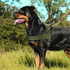 Nylon Durable Dog Harness with Handle - No-Pull Reflective