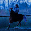 Set de Correas LED para Caballos: Seguridad y Visibilidad Nocturna