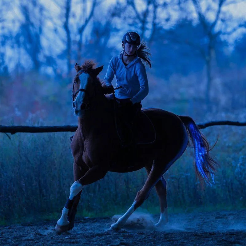Set de Correas LED para Caballos: Seguridad y Visibilidad Nocturna