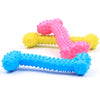 Durable Rubber Chew Toy for Small Dogs