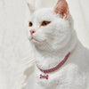 A white cat wearing an elegant rhinestone pendant cat collar with a sparkling charm.