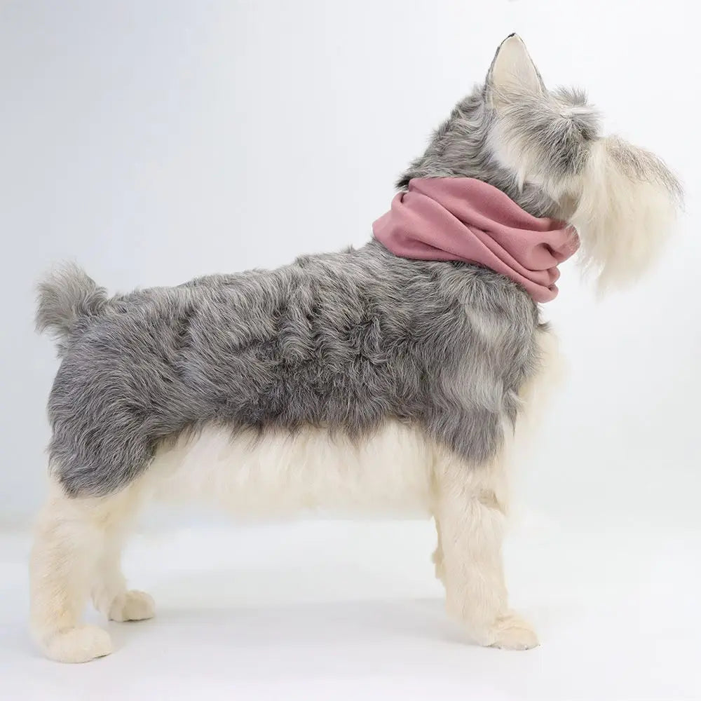 A gray and white dog wearing a pink fabric ear muff for soundproofing.