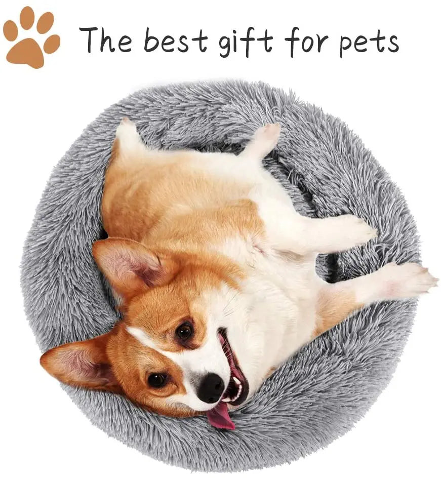 A light brown and white dog is lying on a gray plush round pet bed.