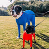 4-Leg Dog Recovery & Anxiety Calming Onesie