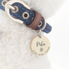Personalized Pet ID Tag for Dogs and Cats