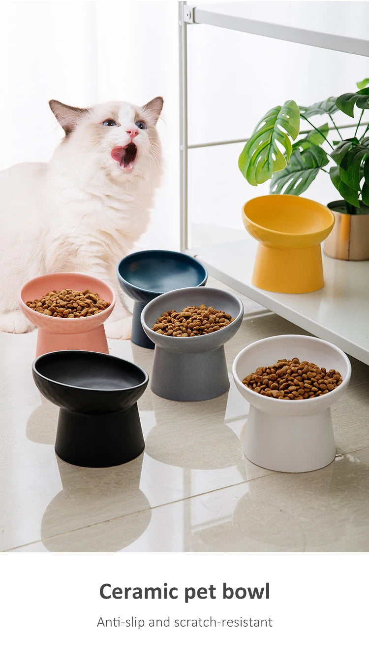 A collection of ceramic pet bowls in various shades of gray, black, and white are displayed on a light surface next to a whit