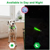 USB Charging Glowing Dog Collar with Pendant