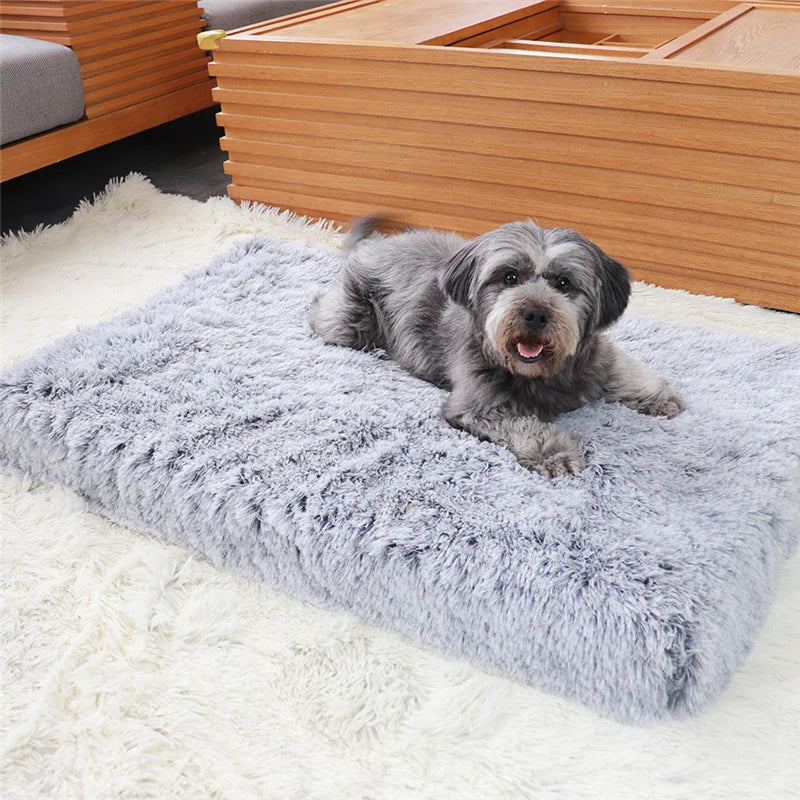 Orthopedic Dog Bed with Removable Cover for Small to Large Pets