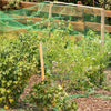 Durable Garden Netting for Bird and Pest Protection