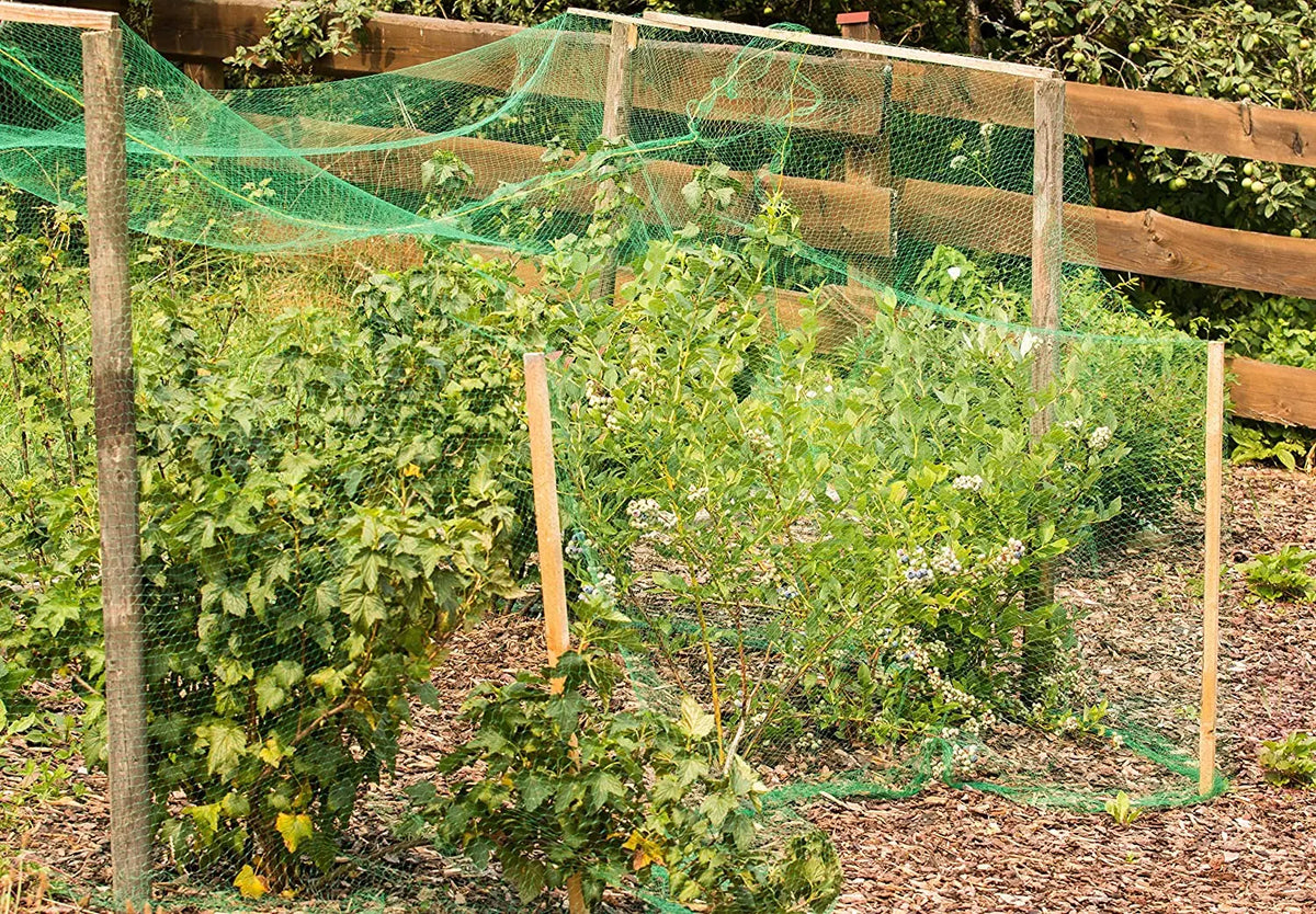 Durable Garden Netting for Bird and Pest Protection