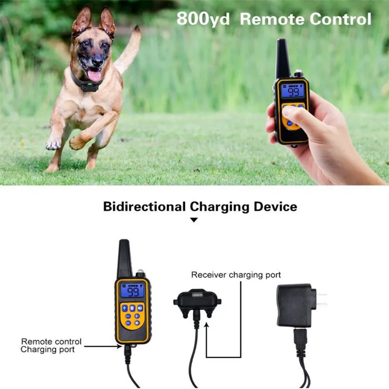 A dog is running in a grassy field next to a hand holding an 800yd remote control device for training.