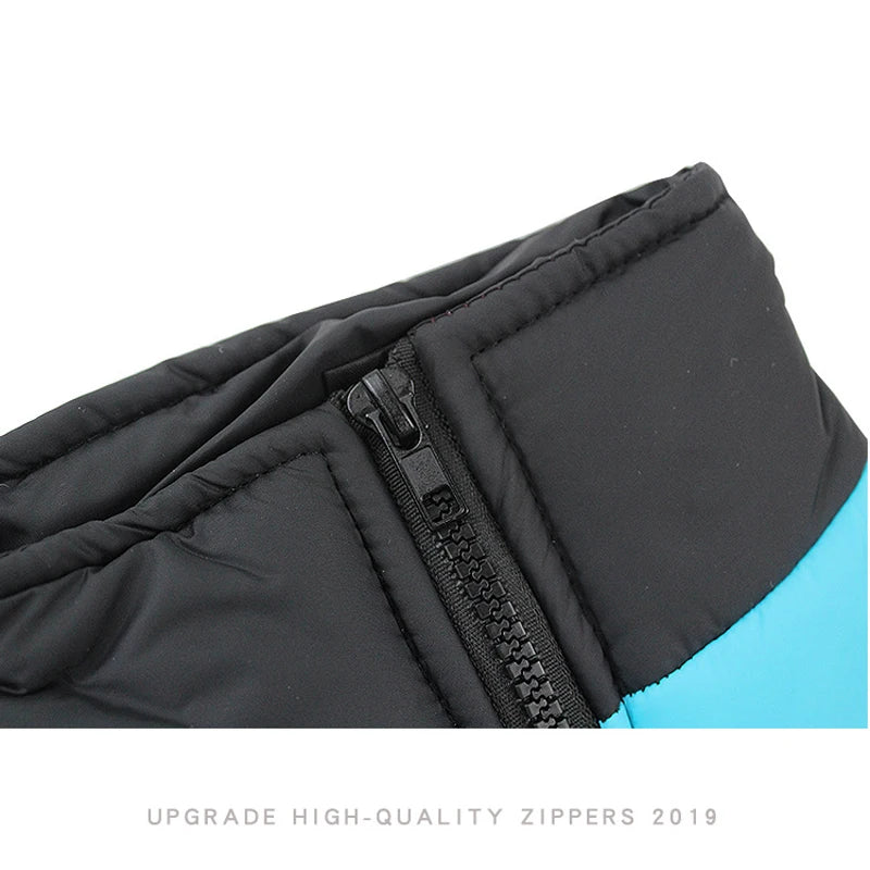Chaleco impermeable acolchado para perro