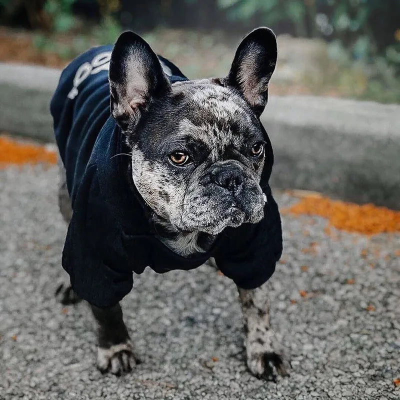 Cozy Hooded Dog Sweatshirt for Chilly Walks
