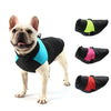 Winter Waterproof Dog Jacket for All Sizes