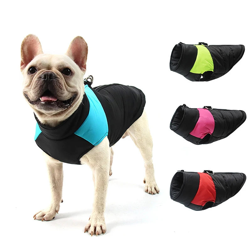 Winter Waterproof Dog Jacket for All Sizes
