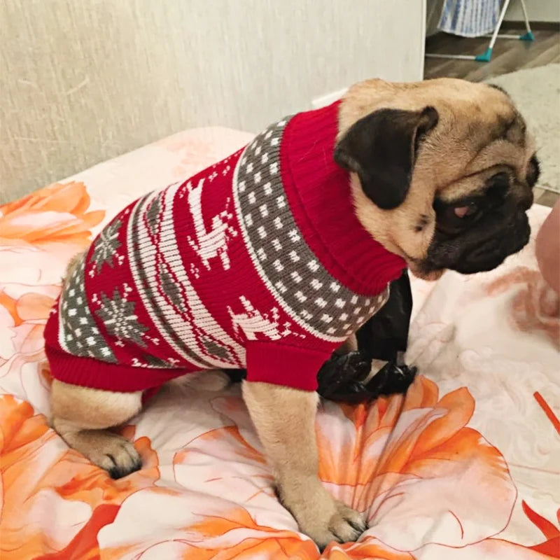 Suéter de Punto Acogedor para Perro