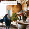 Red de Alimentador Colgante para Aves y Verduras