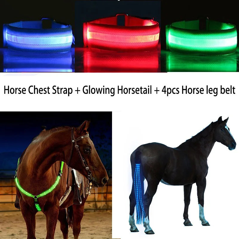Set de Correas LED para Caballos: Seguridad y Visibilidad Nocturna