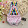 Pink and rainbow striped washable physiological dog underwear with a pink flower detail