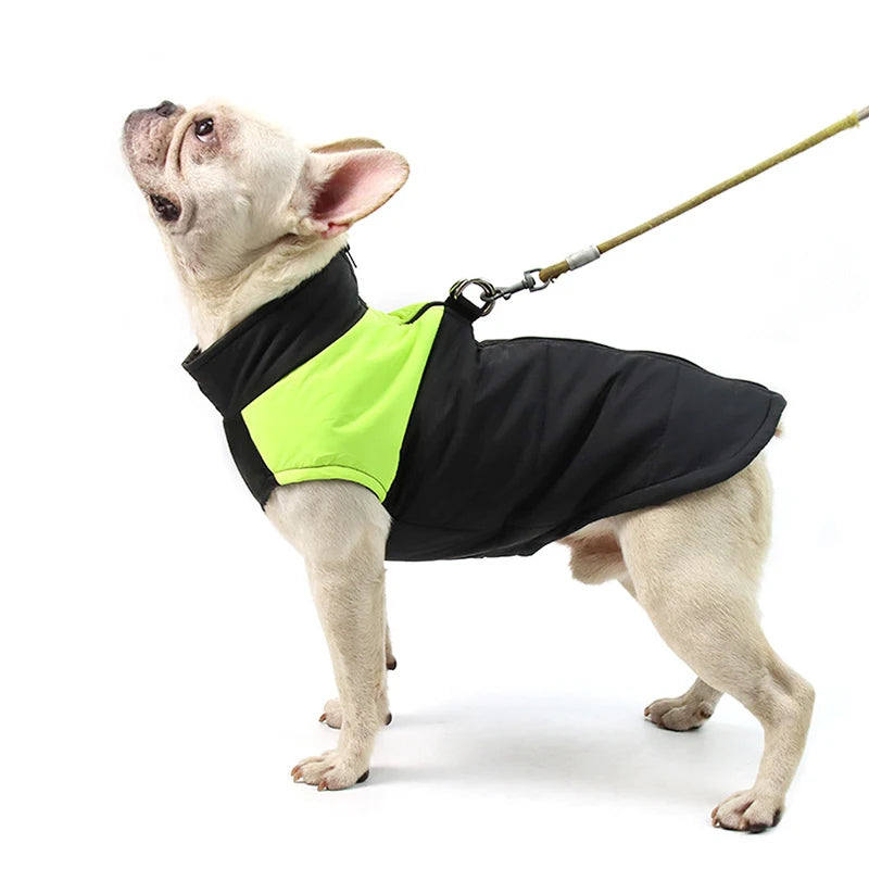 Winter Waterproof Dog Jacket for All Sizes