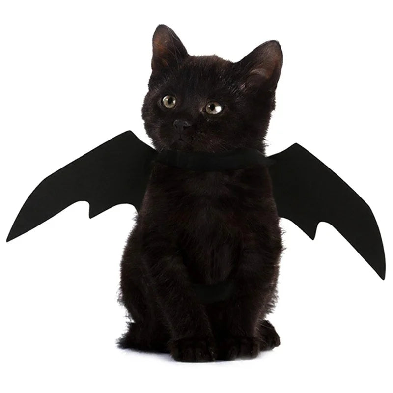 Cat Bat Wing Costume Accessory with Adjustable Straps