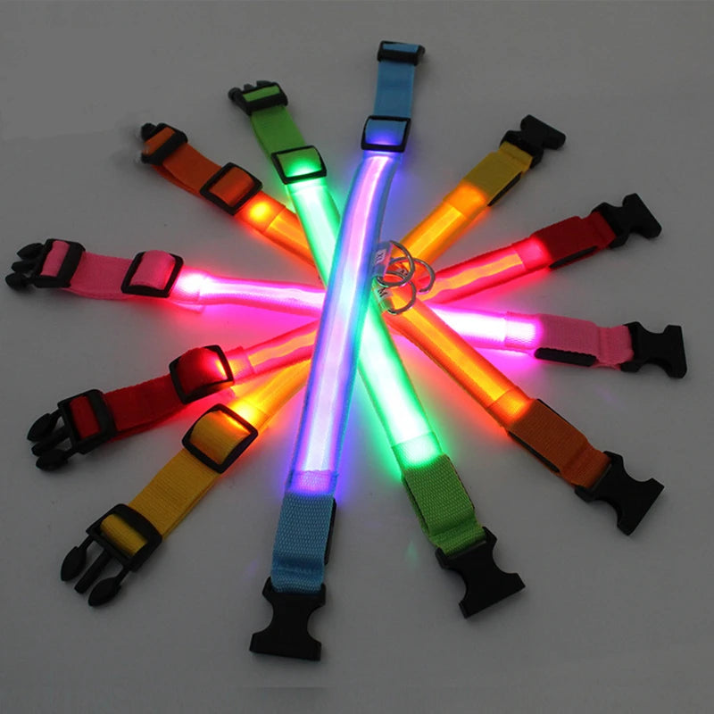 USB Charging Glowing Dog Collar with Pendant